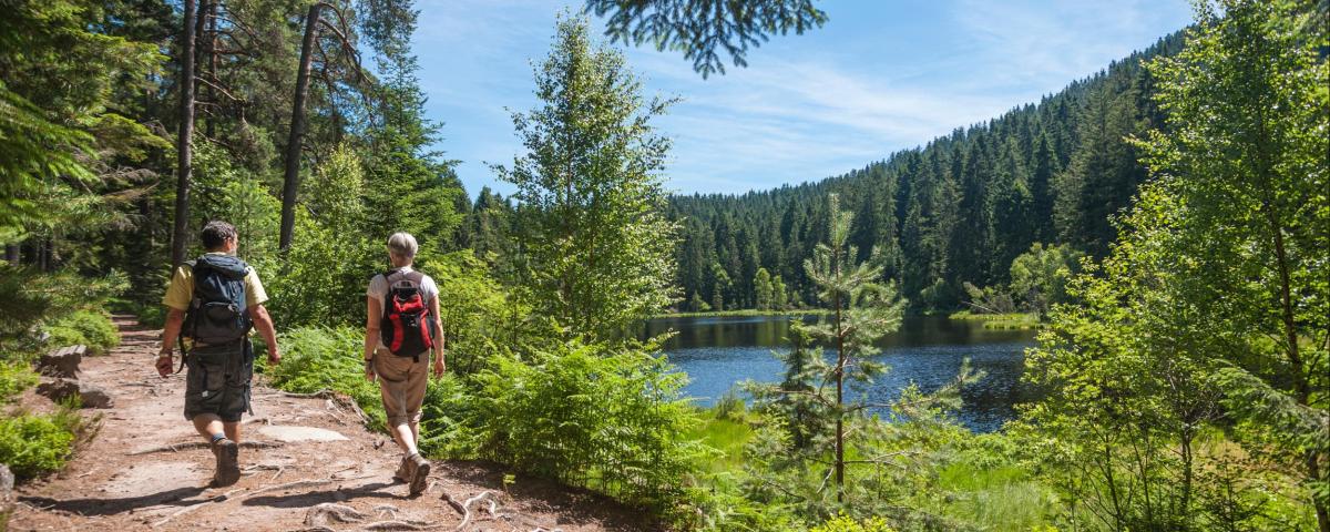 Das Tourismusinfrastrukturprogramm 2024 kann bis Anfang Oktober abgerufen werden.