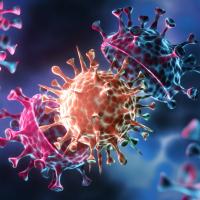 Wegen Fällen der Corona-Mutation in der Freiburger Kita Immergrün bleiben Schulen und Kitas bis zum 21. Februar geschlossen.