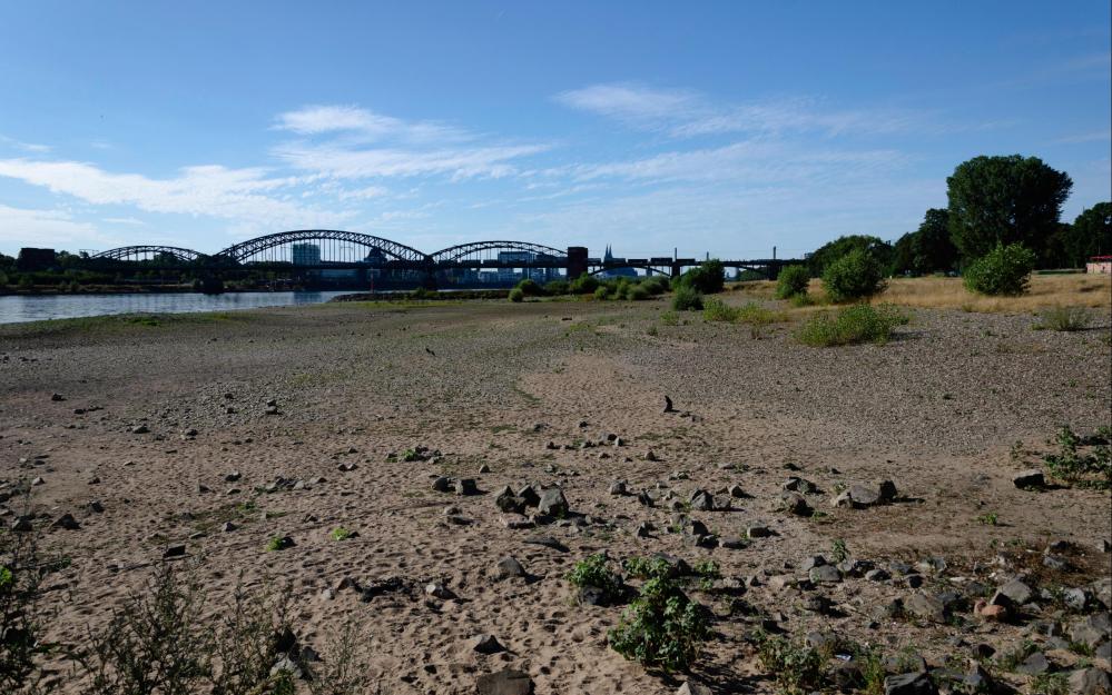 Ausgetrockneter Rhein bei Köln