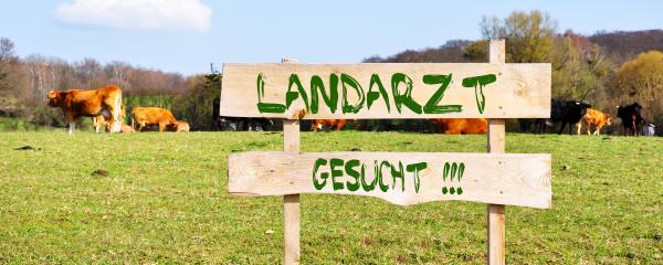 Ein neues Konzept soll den Landarzt zurück ins Dorf bringen. 