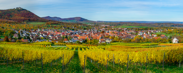 Kabinettsausschuss Ländlicher Raum eingesetzt