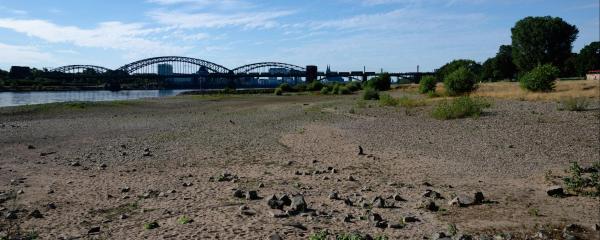 Ausgetrockneter Rhein bei Köln